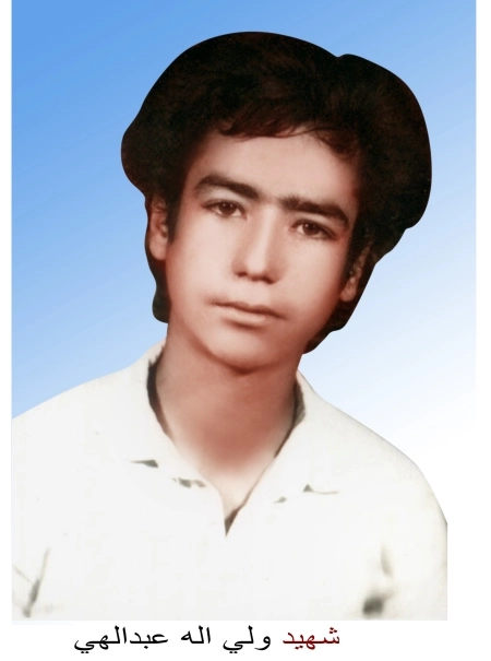 ولی الله عبدالهی