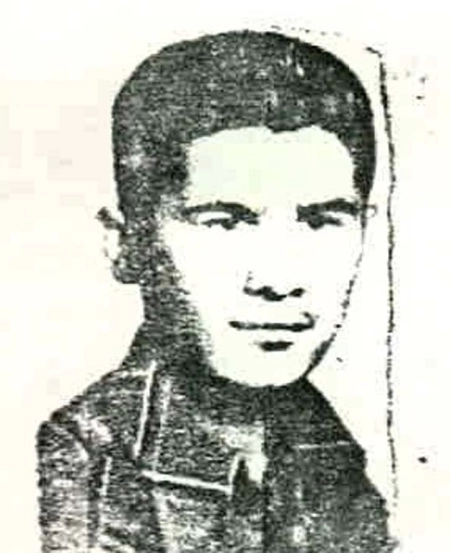 ایرج طیبی*