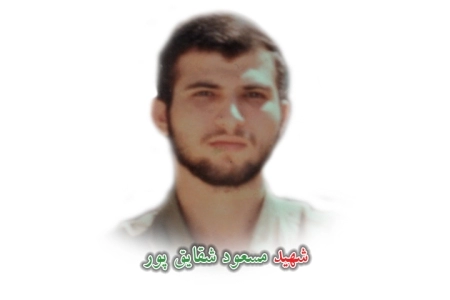 مسعود شقایق پور