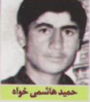حمید هاشمی خواه