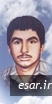 سیدمحمود انوری