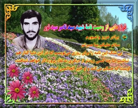 سیدناصر سیدنور*