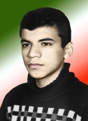 مجتبی شالباف