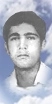 محمدرضا دهقان چناری