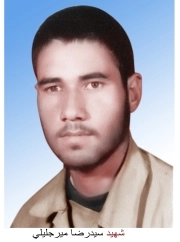 رضا میرجلیلی*