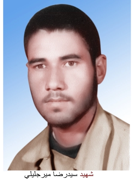 رضا میرجلیلی*