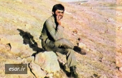 گودرز محمودی
