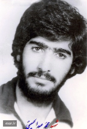 محمد عبدالحسینی*