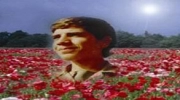 جواد شیرین آبادی فراهانی**