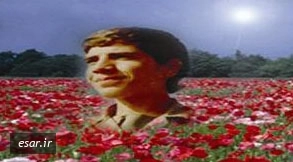 جواد شیرین آبادی فراهانی**