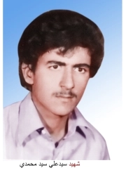 سیدعلی سیدمحمدی