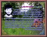 محمد مرتضی زاده