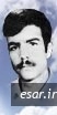 لطفعلی حیدری