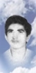 محمد گلستانی فر