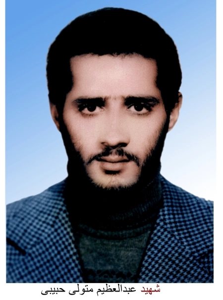 عبدالعظیم متولی حبیبی*