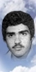 محمود زارع کوهی