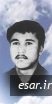 حمید صفری