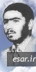 مراد عالی پور