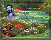 علی محمدی