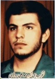 محمد علی پرویزی