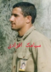 سیامک افرادی