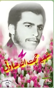 حجت الله صادقی